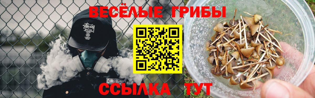 Галлюциногенные грибы мухоморы Кандалакша